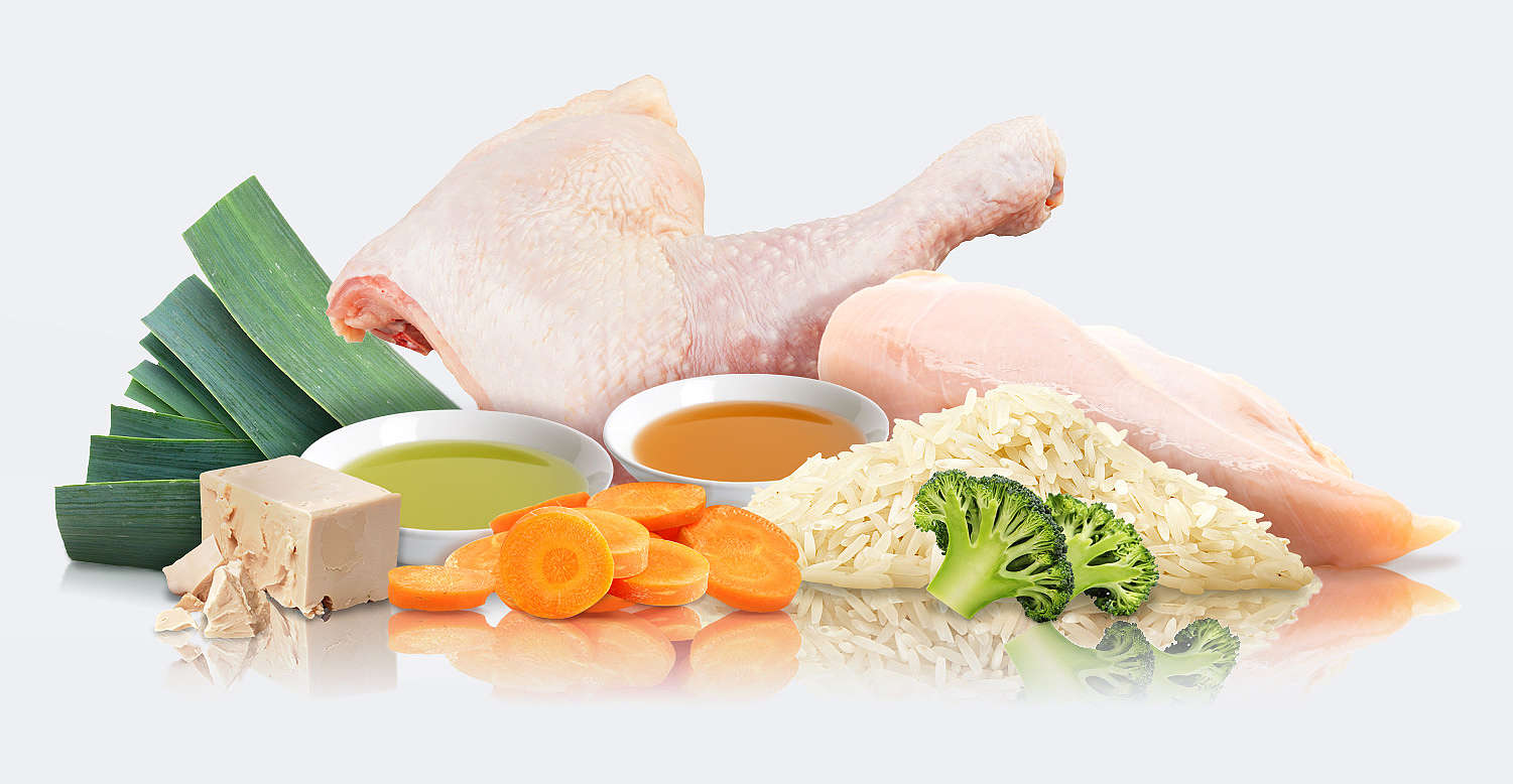 Alimento Umido