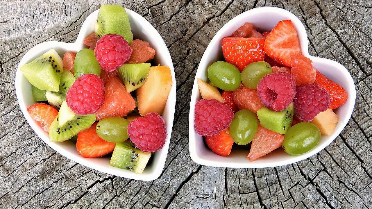 Alimentazione del cane in estate